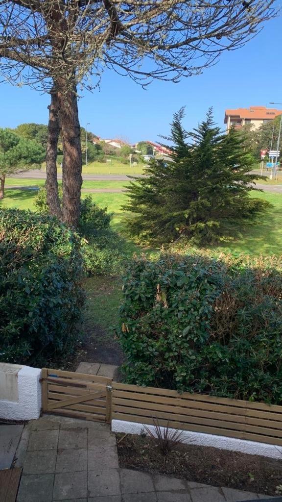 Patio Seignosse Plage 6 Couchages Εξωτερικό φωτογραφία